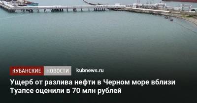 Светлана Радионова - Ущерб от разлива нефти в Черном море вблизи Туапсе оценили в 70 млн рублей - kubnews.ru - Краснодарский край - Туапсе - Черное Море - Экология