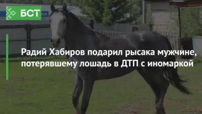 Радий Хабиров - Радий Хабиров подарил рысака мужчине, потерявшему лошадь в ДТП с иномаркой - bash.news - Башкирия - район Мечетлинский