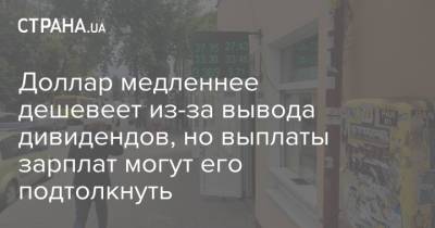 Доллар медленнее дешевеет из-за вывода дивидендов, но выплаты зарплат могут его подтолкнуть - strana.ua - США