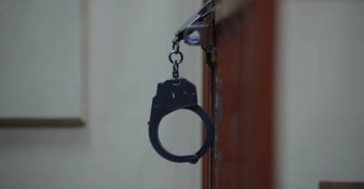 Подростка отправили в колонию на девять лет за изнасилование и убийство девятилетней россиянки - reendex.ru - Воронеж - Воронежская обл.