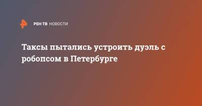 Таксы пытались устроить дуэль с робопсом в Петербурге - ren.tv - Санкт-Петербург