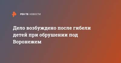 Дело возбуждено после гибели детей при обрушении под Воронежем - ren.tv - Воронеж - Воронежская обл.