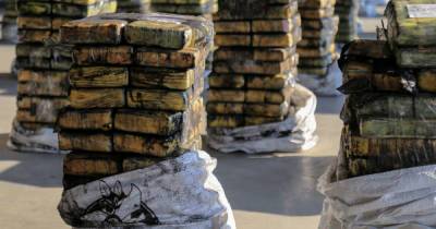 Прибыльное "хозяйство": в Нидерландах на ферме изъяли 3 тонны кокаина и 11,3 млн евро - dsnews.ua - Украина - Голландия - Амстердам