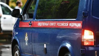В СК прокомментировали пропажу троих детей в Приморье - russian.rt.com - Россия - Приморье край