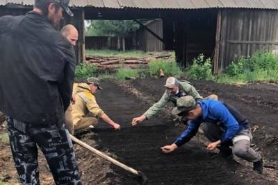 В Бурятии впервые создан питомник для лиственницы - ulan.mk.ru - респ.Бурятия