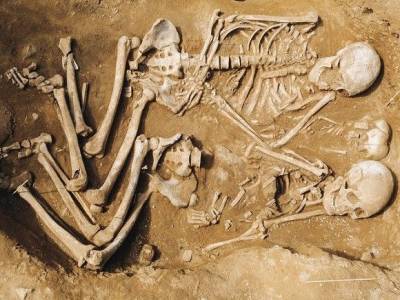 В Латвии нашли останки самой первой жертвы чумы - rosbalt.ru - Германия - Латвия
