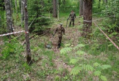 Военные саперы очистили местность в районе "линии Маннергейма" в Ленобласти - online47.ru - Россия - Ленинградская обл.