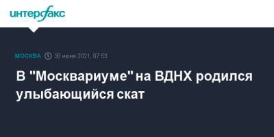 В "Москвариуме" на ВДНХ родился улыбающийся скат - interfax.ru - Москва - Россия