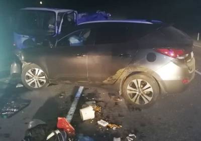 В Челябинской области мертвая корова спровоцировала ДТП на федеральной трассе - znak.com - Челябинская обл.