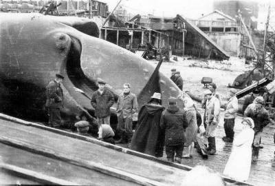 Волна-убийца в Северо-Курильске: какая трагедия случилась в 1952 году - russian7.ru - Курильск - Северо-Курильск