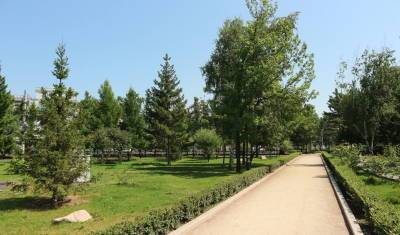 Из-за аномальной жары страдают деревья в Тюмени - nashgorod.ru - Тюмень
