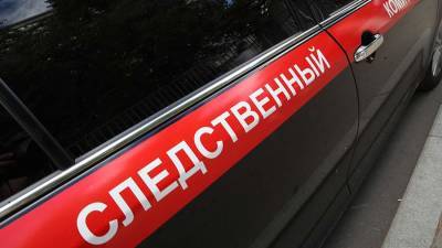 В СК назвали причину гибели трех детей в Приморье - iz.ru - Израиль - Приморье край - Лесозаводск