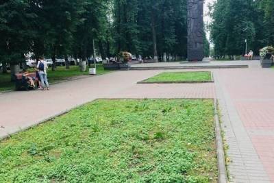 Ярославские градозащитники просят вернуть клумбы - yar.mk.ru - Ярославль