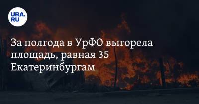 За полгода в УрФО выгорела площадь, равная 35 Екатеринбургам - ura.news - Россия - Екатеринбург - окр. Уральский