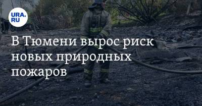В Тюмени вырос риск новых природных пожаров - ura.news - Тюмень - Тюменская обл.