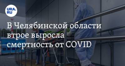 В Челябинской области втрое выросла смертность от COVID - ura.news - Челябинская обл.