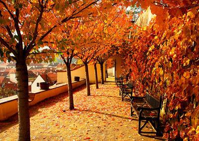 В Праге побит температурный рекорд 1836 года - vinegret.cz - Чехия - Прага