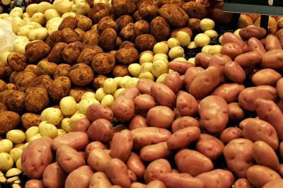В Азербайджане совместно с FAO реализуется проект по увеличению производства картофеля - trend.az - Азербайджан