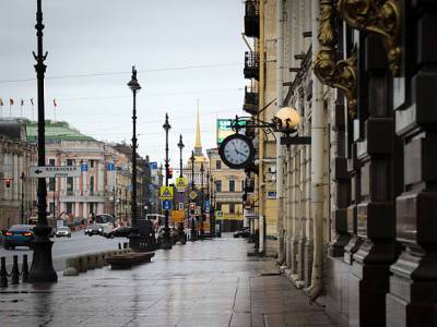 Петербуржцы попросили Путина вмешаться и остановить уплотнительную застройку центра города (видео) - rosbalt.ru - Россия - Петербурга