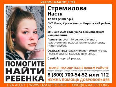 Элизабет Алерт - В Киришском районе без вести пропала 12-летняя девочка - ivbg.ru - Украина - Ленобласть