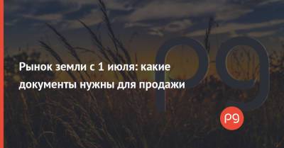 Роман Лещенко - Рынок земли с 1 июля: какие документы нужны для продажи - thepage.ua - Украина