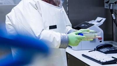 В центре «Вектор» заявили об отсутствии вируса Nipah в России - iz.ru - Россия - Израиль - Индия - Бангладеш