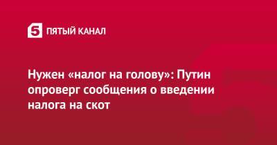 Владимир Путин - Нужен «налог на голову»: Путин опроверг сообщения о введении налога на скот - 5-tv.ru - Россия