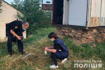 В Измаиле 5-летний мальчик заживо сгорел в трансформаторной будке - rupor.info - Украина - Одесская обл.