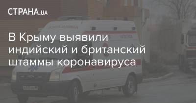 Наталья Пеньковская - В Крыму выявили индийский и британский штаммы коронавируса - strana.ua - Украина - Крым - Севастополь