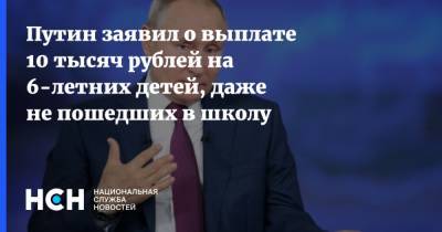 Владимир Путин - Путин заявил о выплате 10 тысяч рублей на 6-летних детей, даже не пошедших в школу - nsn.fm - Россия