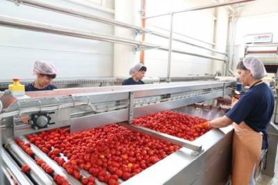 Владимир Путин - Рост цен на продукты в Волгограде напрямую связан с мировым рынком - volg.mk.ru - Россия - Волгоград