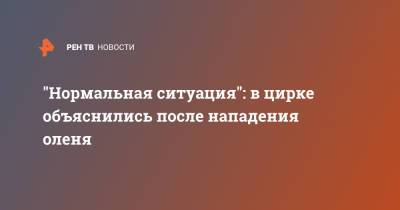 "Нормальная ситуация": в цирке объяснились после нападения оленя - ren.tv - Барнаул