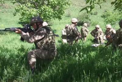 Армянская делегация на сессии ПАСЕ подняла вопрос вторжения азербайджанской армии - topwar.ru - Армения - Турция - Анкара - Азербайджан - Баку