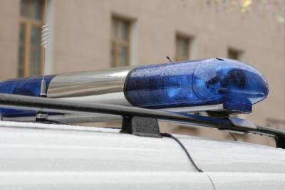 СК Петербурга возбудил дело об убийстве 17-летней девушки, пропавшей три месяца назад - spb.mk.ru - Россия - Петербурга