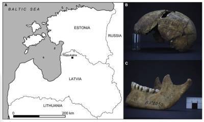 На археологическом памятнике в Латвии нашли древнейший штамм чумы возрастом 5000 лет - znak.com - Латвия