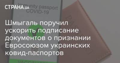 Денис Шмыгаль - Шмыгаль поручил ускорить подписание документов о признании Евросоюзом украинских ковид-паспортов - strana.ua - Украина