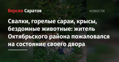 Свалки, горелые сараи, крысы, бездомные животные: житель Октябрьского района пожаловался на состояние своего двора - nversia.ru - район Октябрьский