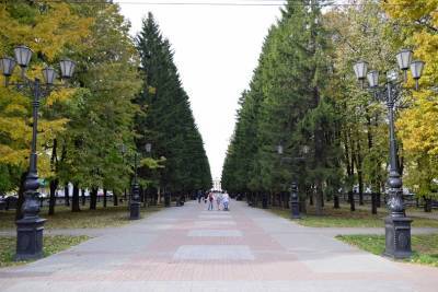 В Уфе горожан старше 50 лет будут бесплатно обучать основам скандинавской ходьбы - ufacitynews.ru - Россия - Башкирия - Уфа
