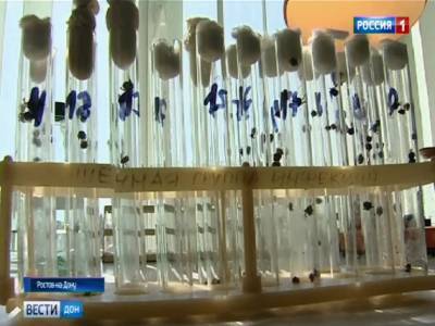 В Ростовской области около четырех тысяч человек обратились в больницы после укусов клещей - dontr.ru - Ростов-На-Дону - Ростовская обл. - Волгодонск - Новошахтинск