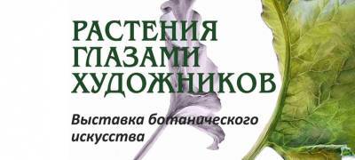 Жителям и гостям Петрозаводска покажут «Растения глазами художников» - stolicaonego.ru - Петрозаводск - республика Карелия