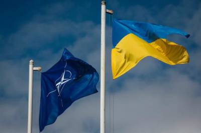 Центр Разумкова: Больше половины опрошенных украинцев не воспринимают НАТО, как союзника - argumenti.ru - Украина - Англия