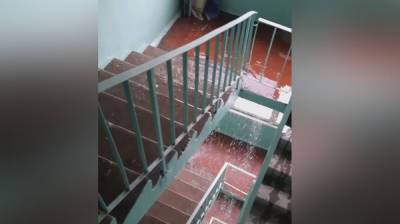 Воронежцы после ливня сняли на видео мощный водопад в подъезде 9-этажки - vestivrn.ru - Воронеж
