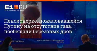 Владимир Путин - Пенсионерке, пожаловавшейся Путину на отсутствие газа, пообещали березовых дров - e1.ru - Россия - Екатеринбург - Краснотурьинск