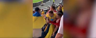Светлана Журова - В России осудили избиение россиянина на матче сборной Украины - runews24.ru - Россия - Украина - Швеция