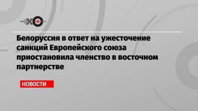 Александр Лукашенко - Белоруссия в ответ на ужесточение санкций Европейского союза приостановила членство в восточном партнерстве - echo.msk.ru - Белоруссия - Польша - Литва - Минск - Латвия - Брюссель