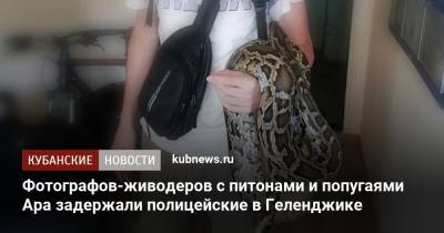 Фотографов-живодеров с питонами и попугаями Ара задержали полицейские в Геленджике - kubnews.ru - Россия - Анапа - Краснодарский край - Оренбургская обл. - Геленджик