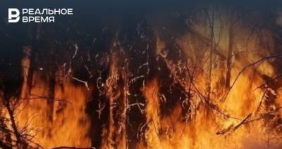 Рустам Минниханов - В Татарстане с начала года зарегистрировали более 3,5 тысяч пожаров - realnoevremya.ru - Россия - респ. Татарстан