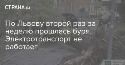 По Львову второй раз за неделю прошлась буря. Электротранспорт не работает - strana.ua - Украина - Львов