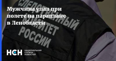 Мужчина упал при полете на параплане в Ленобласти - nsn.fm - Россия - Ленинградская обл. - район Приозерский