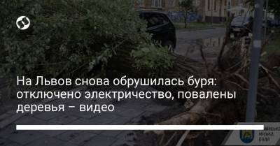 На Львов снова обрушилась буря: отключено электричество, повалены деревья – видео - liga.net - Украина - Львов